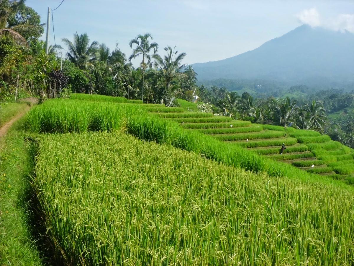 Zen Rooms Kuta Tuban Suites エクステリア 写真